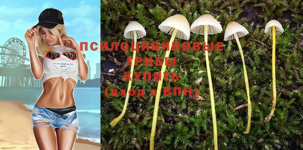 амф Алексеевка